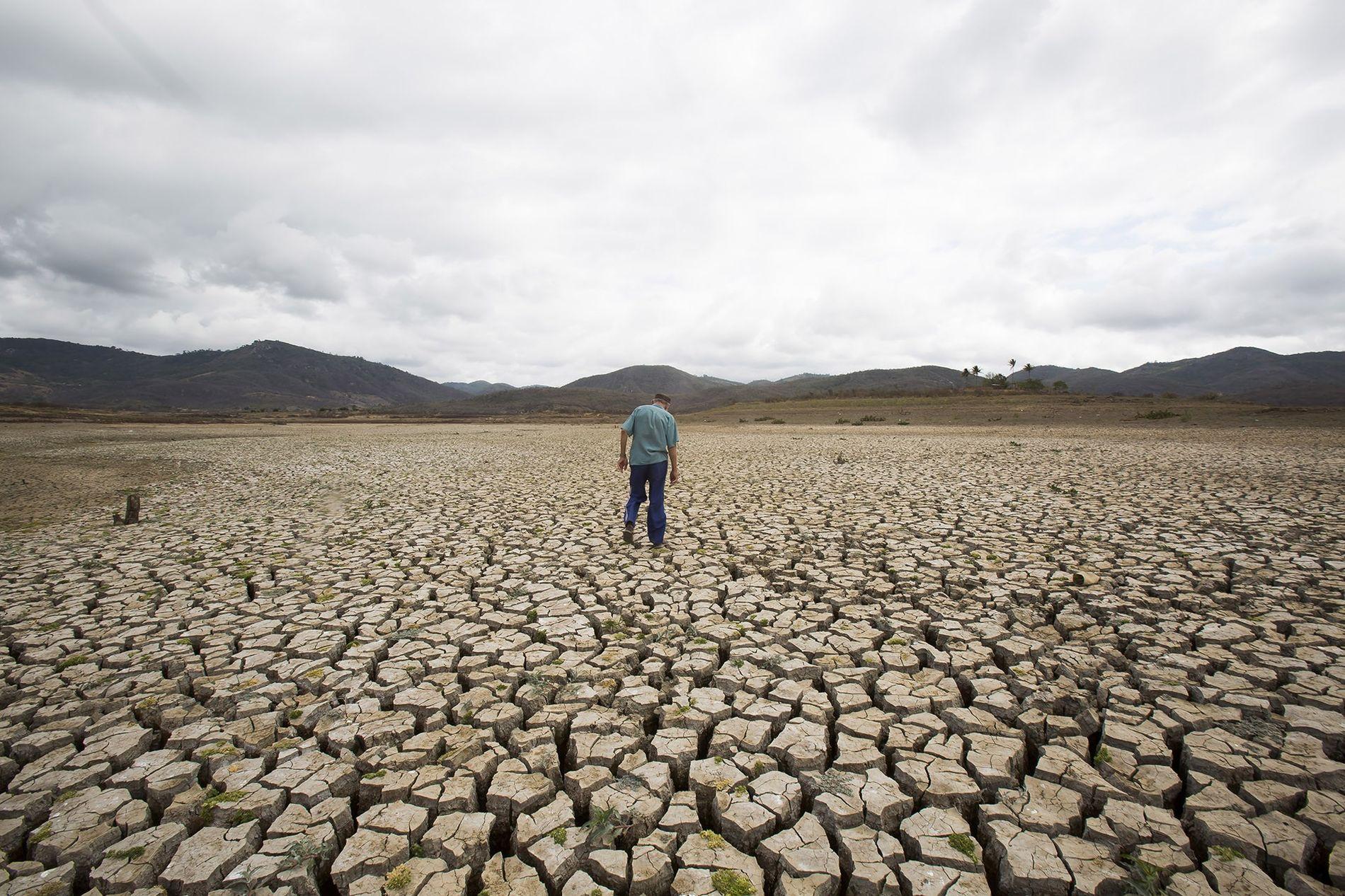 Quais os impactos da atual falta de chuvas no Nordeste